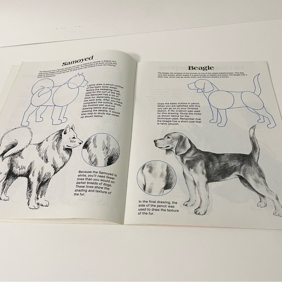 Vtg 1983 How to Draw Dogs by Carrie Snyder Paperback Art Book - Picture 12 of 14